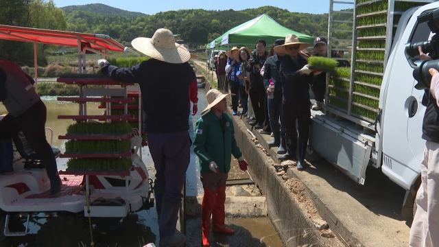 올해 첫 모내기 실시‥ 풍년 기원